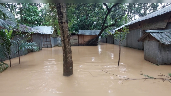 শেরপুরে ৫ উপজেলার ৩০ ইউনিয়ন প্লাবিত, ৭ জনের প্রাণহানি