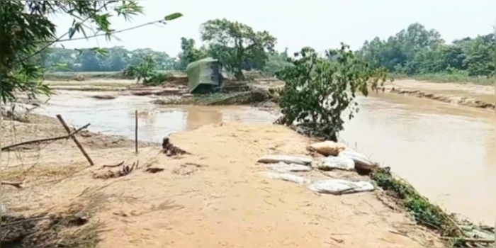 শেরপুরে বন্যায় কৃষিখাতে ক্ষতি ৫০০ কোটি টাকা