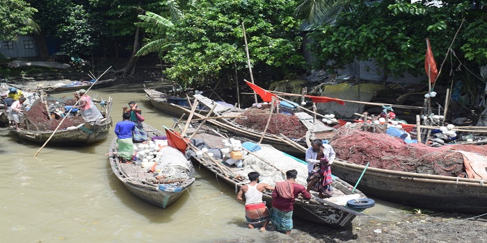 সিরাজগঞ্জে যমুনায় ইলিশ ধরায় পাঁচ জেলের কারাদণ্ড