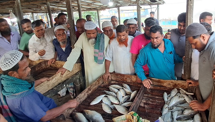 চাঁদপুরে ক্রেতা-বিক্রেতায় সরগরম হয়ে উঠেছে ইলিশের আড়ত