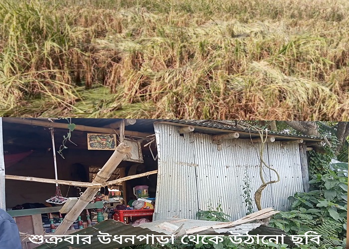 যুবলীগ নেতার নেতৃত্বে জমি দখল ও ঘর বাড়ি ভাংচুর