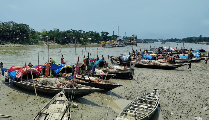 লক্ষ্মীপুরে মেঘনা নদীতে জেলেদের মাছ লুটের অভিযোগ