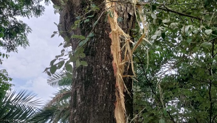 নোয়াখালীর হাতিয়ায় বজ্রপাতে কিশোরীর মৃত্যু