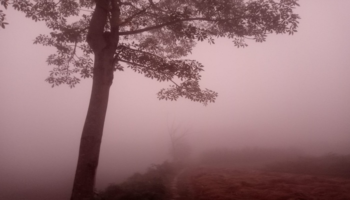 তাপমাত্রা কমে বাড়তে পারে কুয়াশা