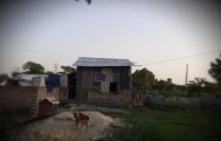 পৈত্রিক সম্পত্তি নিয়ে প্রকাশ্য আদালতের রায় অনৈতিকভাবে বিক্রির অভিযোগ মাসুমার