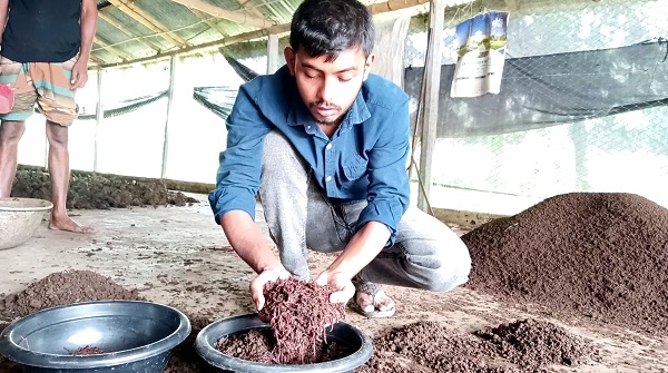 কেশবপুরে কেঁচো সার বিক্রি করে নতুন কর্মসংস্থান সৃষ্টি করছে উদ্যোক্তারা