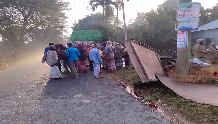 দাঁড়িয়ে থাকা করিমনে ট্রাকের ধাক্কায় নিহত ৩