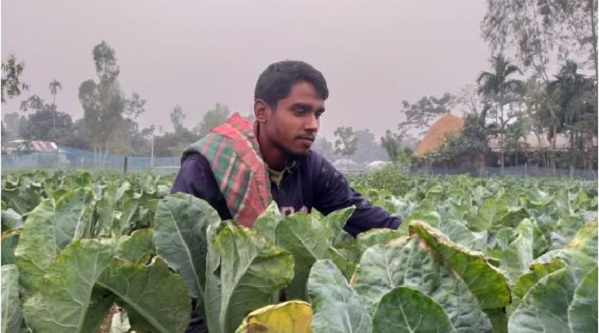 কুড়িগ্রামে শীতকালীন সবজি চাষে কৃষকের মুখে হাসি