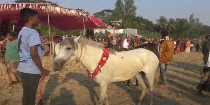 গাইবান্ধায় অনুষ্ঠিত হয়েছে ঘোড়দৌড় প্রতিযোগিতা