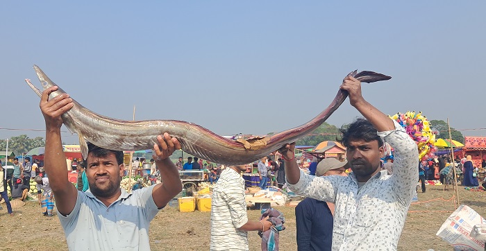 কালীগঞ্জে আড়াইশ বছরের পুরনো মাছের মেলায় জামাই শ্বশুরের ভিড়