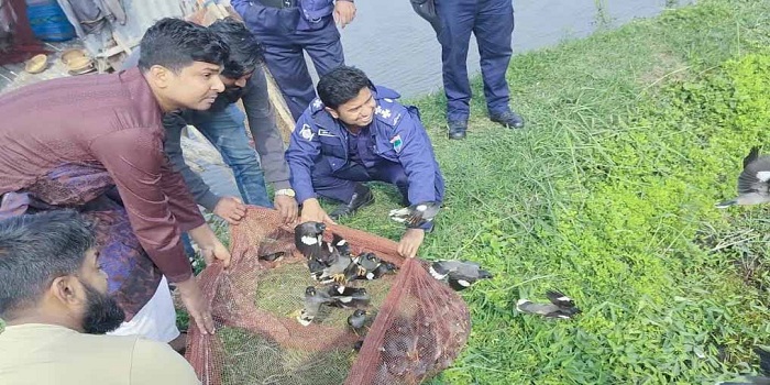 বাগেরহাট শিকারির ফাঁদে আটকে থাকা ১২শ পাখি অবমুক্ত