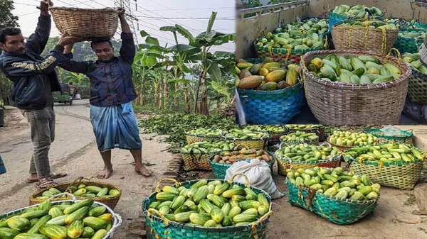 চট্টগ্রামের খইয়াছড়ার ক্ষিরার খ্যাতি আশপাশে কয়েক জেলায়