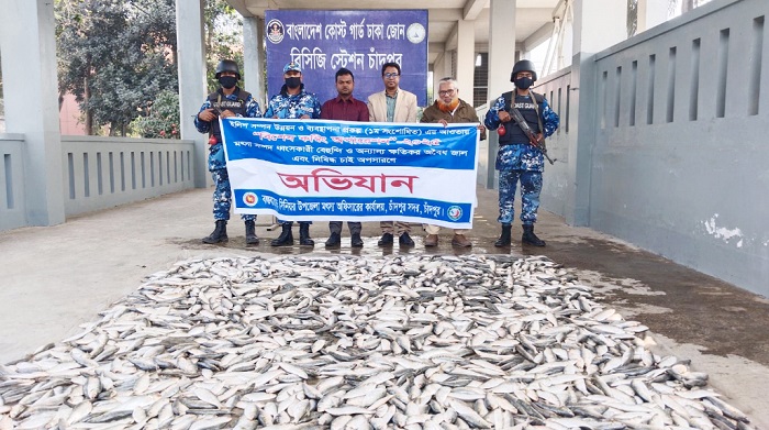 চাঁদপুরের চরভৈরবী থেকে ৫০০ কেজি জাটকা জব্দ