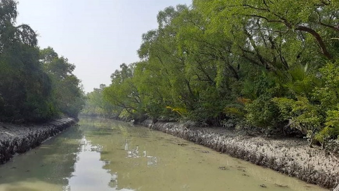 সুন্দরবনে কাকড়া আহরণে দুই মাসের নিষেধাজ্ঞা